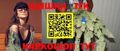индика Гай