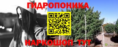 индика Гай