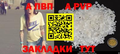 индика Гай